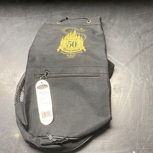 Disneyland 30th street beach cooler